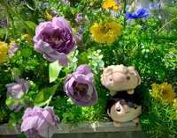 https://images.plurk.com/5L7b4tYtNB84wHai5jP0aC.jpg