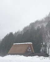 https://images.plurk.com/5L804RssSqZ4H0stDe8UOX.jpg