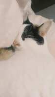 https://images.plurk.com/5LHvtEEWJAZWoTLgkS44TX.jpg