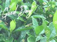 https://images.plurk.com/5LM2iKydxtHRVb7LQRm5ZT.jpg