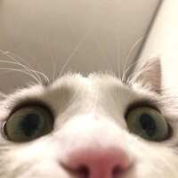 https://images.plurk.com/5LPBHA1kJKVCOd54KIs6Sk.jpg