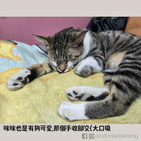 https://images.plurk.com/5LPxmghi8A4vXm1ORJ8UDi.jpg