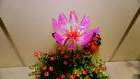 https://images.plurk.com/5LR7QI6DlbGGoJKkjlkqNj.jpg