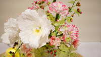 https://images.plurk.com/5LZ9MYmafM4u3Sv1Rl434.jpg