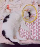 https://images.plurk.com/5Ll9oUaSWFHLqxckGrEqJX.jpg