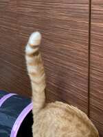 https://images.plurk.com/5Lo7OFkCWaNEMjNnnbo7xD.jpg