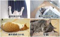 https://images.plurk.com/5M0q8iGGmD9XbTmBZeg6wF.png