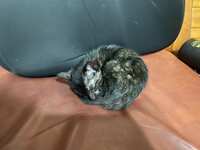 https://images.plurk.com/5M74kFttOGQW4bCWtjn37G.jpg