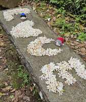 https://images.plurk.com/5MEt01hCYUFnBkN9nqmoyW.jpg