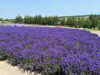 https://images.plurk.com/5MREF0jEuOAeiKRSQ2QPqC.jpg