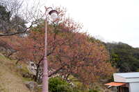 https://images.plurk.com/5MYjf515fdZKtlx10Pqd3y.jpg