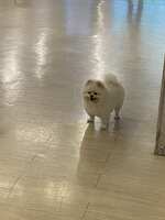 https://images.plurk.com/5Mg4LDIneOkt0djDyKWQ4v.jpg