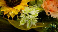https://images.plurk.com/5Mu1DcoGsgqWsJt8G4V8r5.jpg