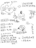 https://images.plurk.com/5MwjfqInVjYtwd4Pr4IWSp.png