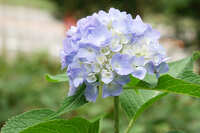 https://images.plurk.com/5MxKri1sN2kFh0MyDHRK56.jpg