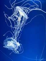 https://images.plurk.com/5N1F7dlYjFyMmMD22YcFI8.jpg
