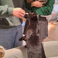 https://images.plurk.com/5N35fSaN7GNcNgFdn6kYpN.jpg