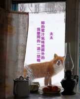 https://images.plurk.com/5N5K2jPPON8bvoOQt4otBB.png