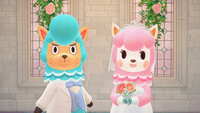https://images.plurk.com/5N5ZkKf7jStqRGpjIW3hmX.jpg