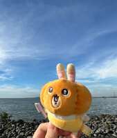 https://images.plurk.com/5N98c2fbaXZzrI1p2ELKIp.jpg