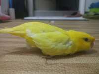 https://images.plurk.com/5NAL9KAWyn10YIy3r8n4O6.jpg