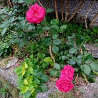 https://images.plurk.com/5NEJoXfaXbT3Zj1hxqxWny.jpg