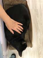 https://images.plurk.com/5NF8zA2GTU0QWGMcvCQuwn.jpg