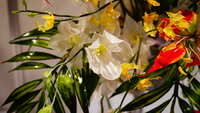 https://images.plurk.com/5NHKw76G7ktE761XTMoS0y.jpg