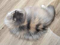 https://images.plurk.com/5NKvYVuDQ4TmvMTBn0xnpG.jpg