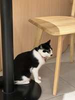 https://images.plurk.com/5NPRIYi65GLc397T9YX40N.jpg