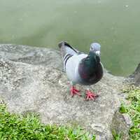 https://images.plurk.com/5NRd6wuxKXxY6pV4SBOJDB.jpg