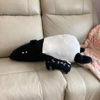 https://images.plurk.com/5NRx5MOEhJHB1tj3THdISd.jpg