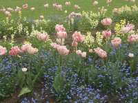 https://images.plurk.com/5NWRCBYwrtt0Q0d5fDU8A6.jpg