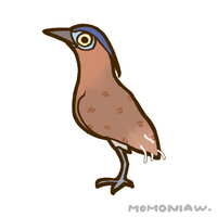 https://images.plurk.com/5NWyJV7ICLwrazN51DQHV6.jpg