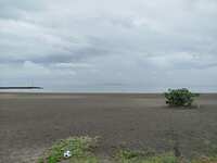 https://images.plurk.com/5NZjOKNl5oLflC6bplGP69.jpg