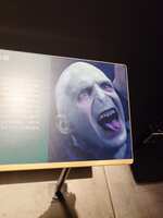 https://images.plurk.com/5NcooyLDYX3BskZVlbR5EO.jpg