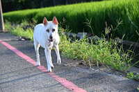 https://images.plurk.com/5NgxJeQZrWQpxY0ZPdcOOx.jpg
