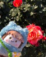 https://images.plurk.com/5Njz7Gj6vZ9ZhgtIE2N0kk.jpg