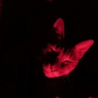 https://images.plurk.com/5Nl1hzafOH5o9kaTuUAiRF.jpg
