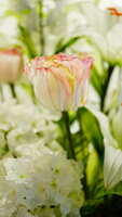https://images.plurk.com/5NlGXOdBXSQPzFnYpxFdzK.jpg