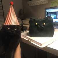 https://images.plurk.com/5NlyAzn4VgdYdR8zg8LhhS.jpg