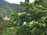 https://images.plurk.com/5NtA1PybKNGAMGlfaW50BF.jpg