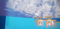 https://images.plurk.com/5OJvMwjQggVw4ihj0KIUgx.jpg