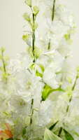 https://images.plurk.com/5ONOB6sJ4DEwpvBUOOVvy5.jpg