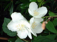 https://images.plurk.com/5OPuFxuFid2DRqReyjTWzD.jpg