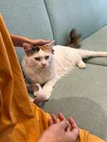 https://images.plurk.com/5OSXpfl3kbSmZocDJYQ6nh.jpg