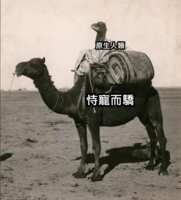 https://images.plurk.com/5OYtzVYRBNPw1kyeGOJscb.png