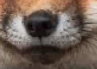 https://images.plurk.com/5OmqKjncMTDICdhOSTWDsX.jpg