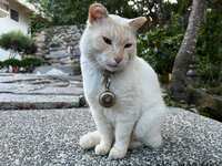 https://images.plurk.com/5Oq2ipbZOGZqNZ32ckkw2b.jpg