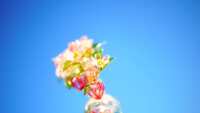 https://images.plurk.com/5OyTdAwOwXLBeRfozrhyRi.gif